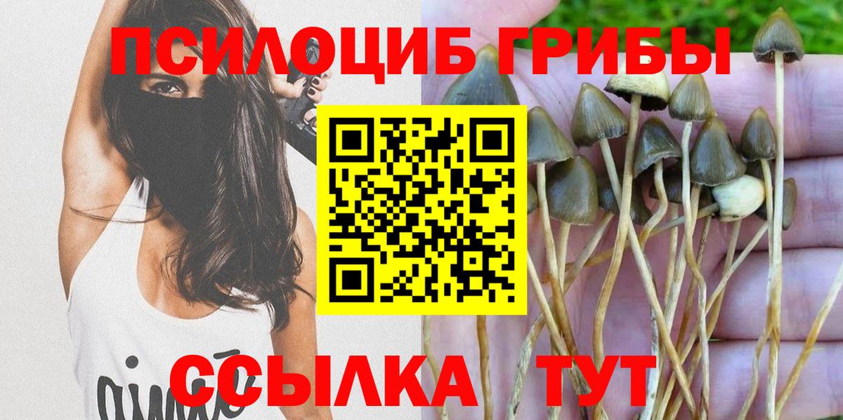 Псилоцибиновые грибы GOLDEN TEACHER Нефтекумск